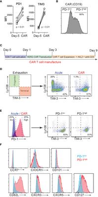 PD-1Hi CAR-T cells provide superior protection against solid tumors